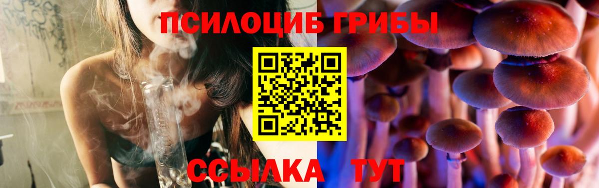 Псилоцибиновые грибы прущие грибы  Вход с VPN  Михайловка 